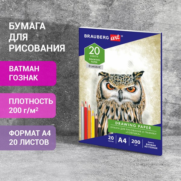 Набор бумаги для рисования Brauberg Art Classic / 114492 (20л)