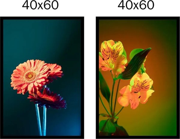 Постеры Citydecor Цветы 19 (2шт, 40x60)