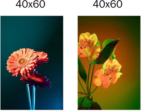 Постеры Citydecor Цветы 19 (2шт, 40x60)