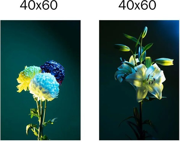Постеры Citydecor Цветы 15 (2шт, 40x60)