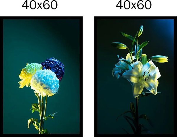 Постеры Citydecor Цветы 15 (2шт, 40x60)