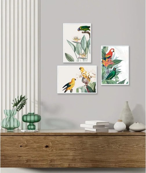 Постеры Citydecor Попугайчики 2 (3шт, 21x30)