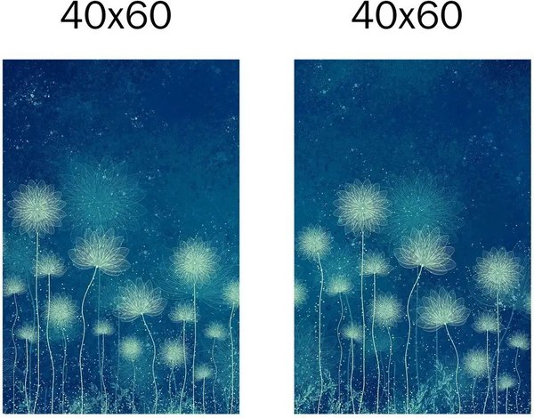 Постеры Citydecor Невесомость 17 (2шт, 40x60)