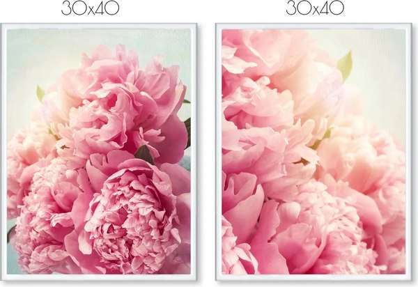Постеры Citydecor Пионы 1 (2шт, 30x40)