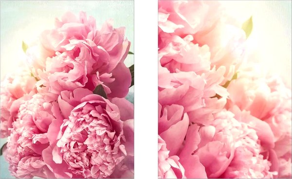 Постеры Citydecor Пионы 1 (2шт, 30x40)