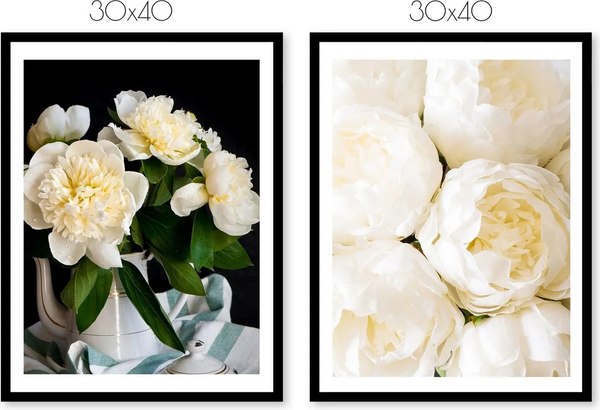 Постеры Citydecor Пионы 7 (2шт, 30x40)
