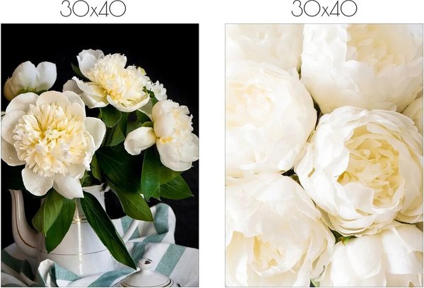 Постеры Citydecor Пионы 7 (2шт, 30x40)