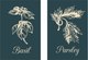 Постеры Citydecor Специи 2 (2шт, 40x60) - 