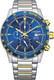 Часы наручные мужские Citizen Quartz AN3684-59L -