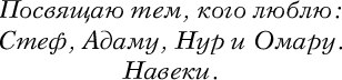 Книга Like Book Сокровище, твердая обложка (Вульф Трейси)