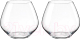Набор стаканов Bohemia Amoroso 23001/580-2 (2шт) - 