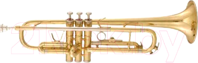 Труба Maxtone TTC-60/L-2