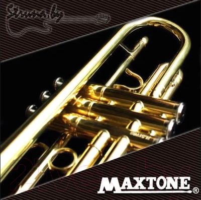 Труба Maxtone TTC-60/L-2