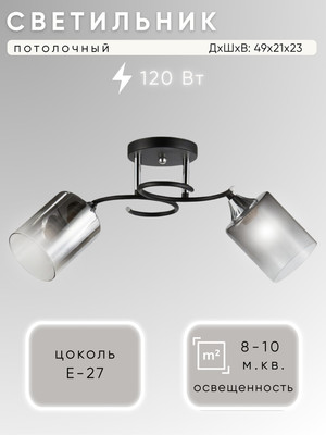 Потолочный светильник Aitin-Pro НПБ 02-2x60-101 / 5014/2 (черный/хром) -