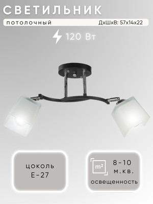 Спот Aitin-Pro НПБ 02-2x60-101 / N6106/2 (черный/хром) -