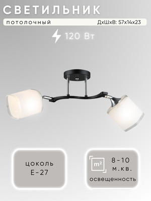 Спот Aitin-Pro НПБ 02-2x60-101 / N6108/2 (черный/хром) -