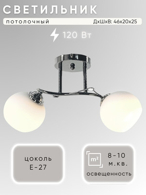 Потолочный светильник Aitin-Pro НПБ 02-2х60-101 / XA1082/2 -