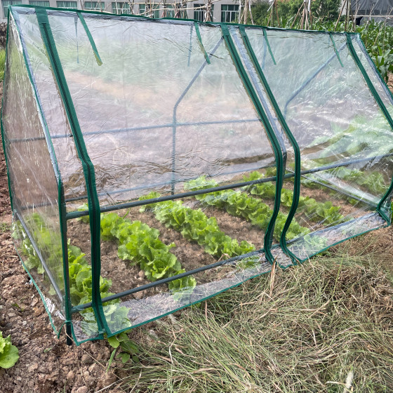 Купить Теплица Green Apple GA-House-medium / Б0063840 в Гродно