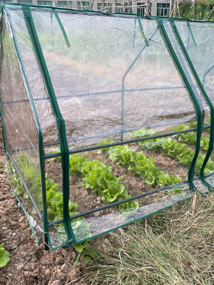 Теплица Green Apple GA-House-2х-frame / Б0063858