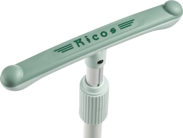 Самокат детский Ricos TiKKi KB109 (бирюзовый)