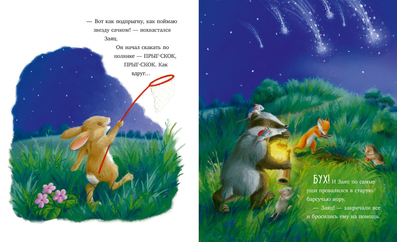 Художественная книга CLEVER Приключения Ежульки. Самая звездная ночь мягкая обложка (Батлер Кристина) — фото 2