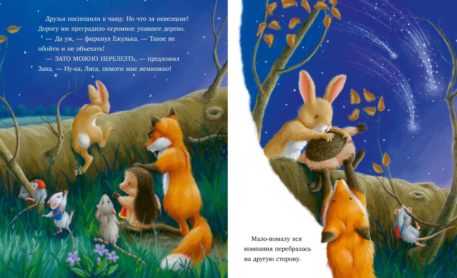 Художественная книга CLEVER Приключения Ежульки. Самая звездная ночь мягкая обложка (Батлер Кристина) — фото 3
