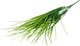 Искусственная ветка ForGarden Осока BN10823 - 