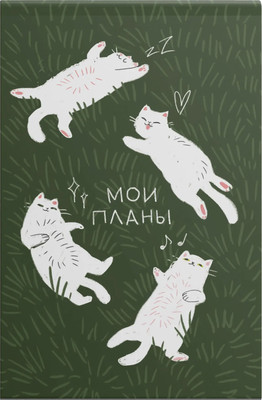 

Блокнот, Мечтай, пой, люби / БСК640330