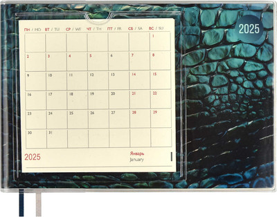 

Еженедельник, Змея 2025 / 67100