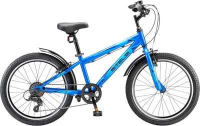 Велосипед STELS Pilot 220 V 20 (11, синий, разобранный, в коробке) - 