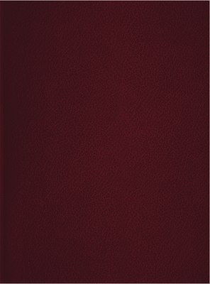 Тетрадь BG Т4бв96к_12340 (96л, бордовый) -