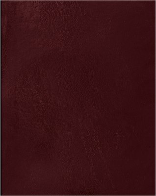Тетрадь BG Т4бв96кЭ_12344 (96л, бордовый) -