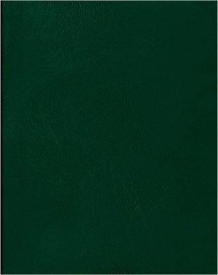 Тетрадь BG Т4бв96к_12339 (96л, зеленый) -