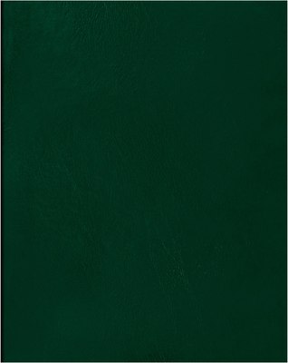 Тетрадь BG Т4бв96кЭ_12343 (96л, зеленый) - 