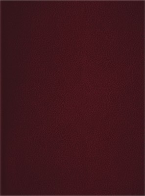 Тетрадь BG Т4бв80к_12325 (80л, бордовый) - 
