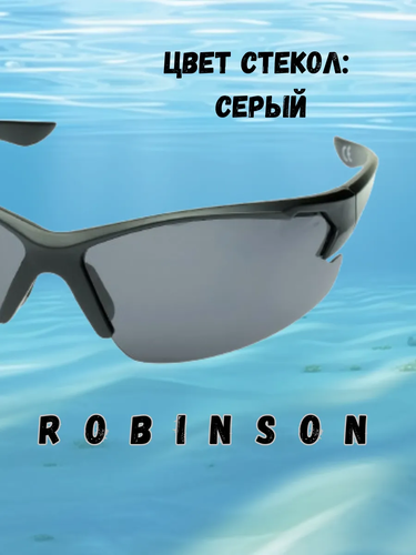 Очки солнцезащитные Robinson 93-SPO-031S