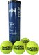 Набор теннисных мячей Diadem Premier Clay Court Tour 4B / EUROPE-BALL-CLAYTOUR-4B (4шт) - 