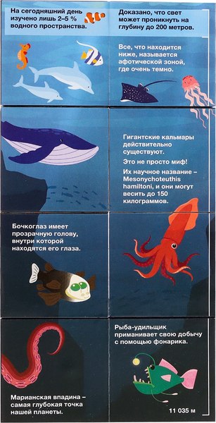 Развивающий игровой набор Zabiaka IQ Умникуб. Океаны / 10532906