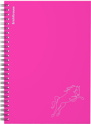 Тетрадь Erich Krause Silhouette / 61968 (80л, розовый) -