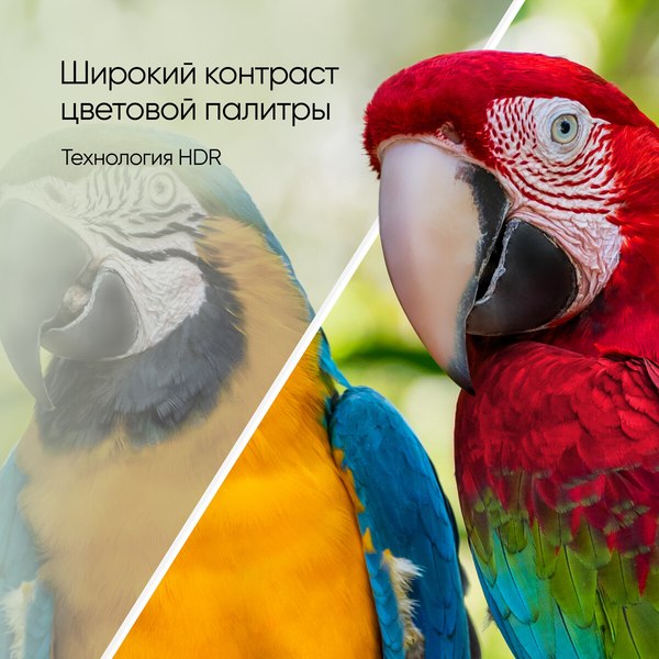 Телевизор Topdevice 65" TDTV65CS05UBK