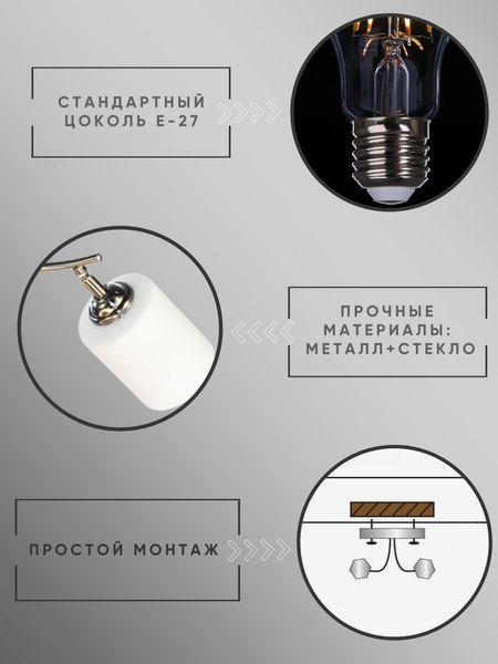 Спот Aitin-Pro НПБ 02-2x60-101 / N6410/2 (титан)