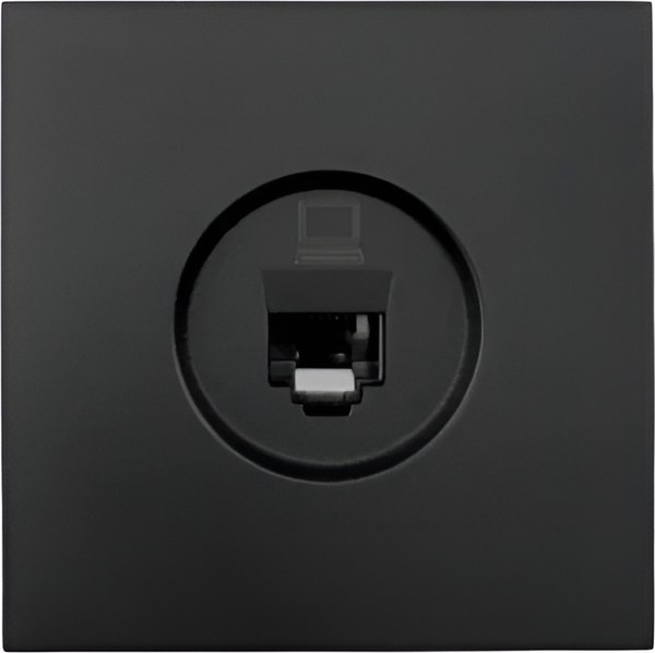 Розетка Lezard Zima 704-4288-139 (черный бархат)