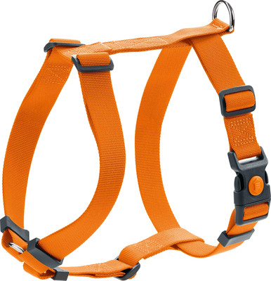 

Шлея, Harness London VR 41-70/S / 67999