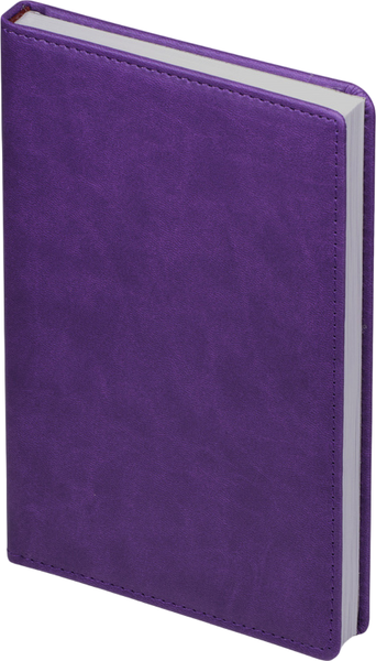 Ежедневник Bruno Visconti Velvet / 3-115.19 (фиолетовый)
