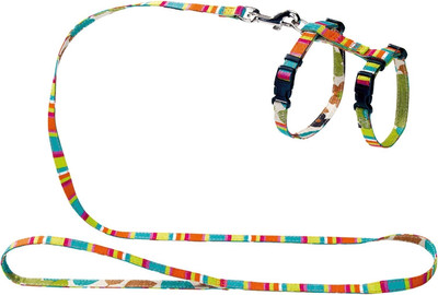 

Шлея с поводком, Harness+Leash Cat/Puppy / 91382