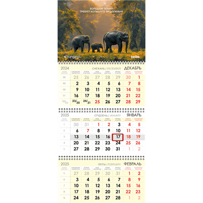 

Календарь настенный, Kangaro/Cello / 102-2/24