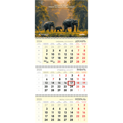 

Календарь настенный, Kangaro-Cello / 01434/2024