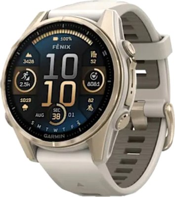 Умные часы Garmin Fenix 8 AMOLED Sapphire 43mm / 010-02903-11 (золото/дымчато-серый) - 