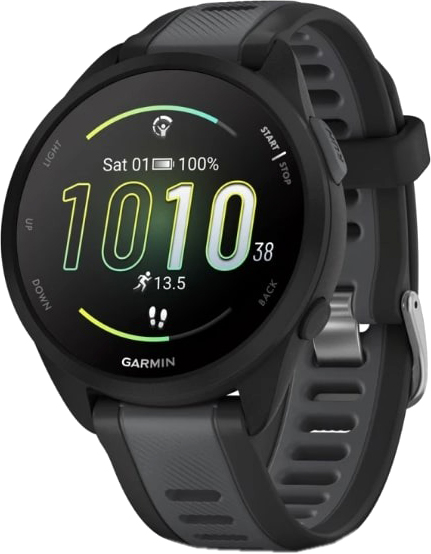 Умные часы Garmin Forerunner 165 Music 43mm / 010-02863-30 (черный/серый ремешок)