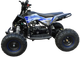 Электроквадроцикл Motax Gekkon E1300 (синий/черный) - 